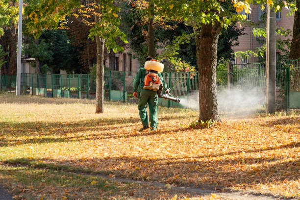 Best Emergency Pest Control  in Stony Point, NC