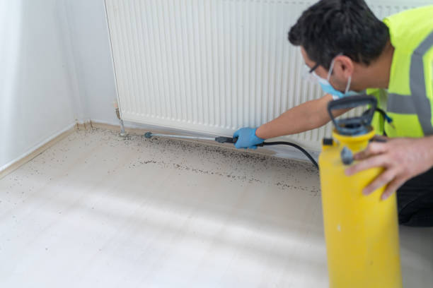 Best Bed Bug Extermination  in Stony Point, NC